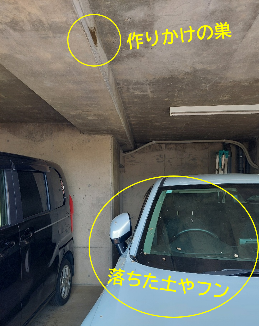 ツバメの巣（作りかけ）と落ちた土やフン