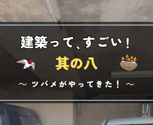 建築って､すごい！其の八｜ツバメがやってきた！