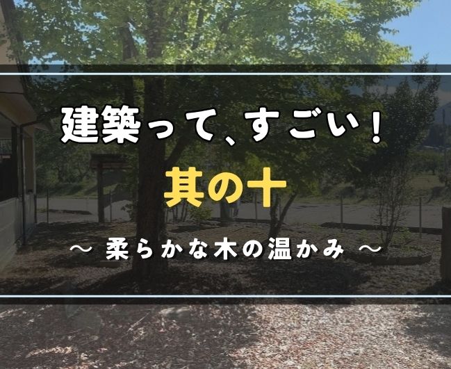 建築って、すごい！其の十｜柔らかな木の温かみ🌳